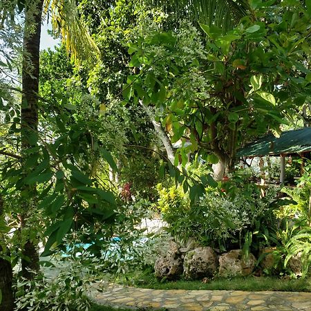 Zapote Tree Inn Flores Exterior foto