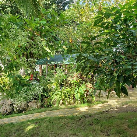 Zapote Tree Inn Flores Exterior foto