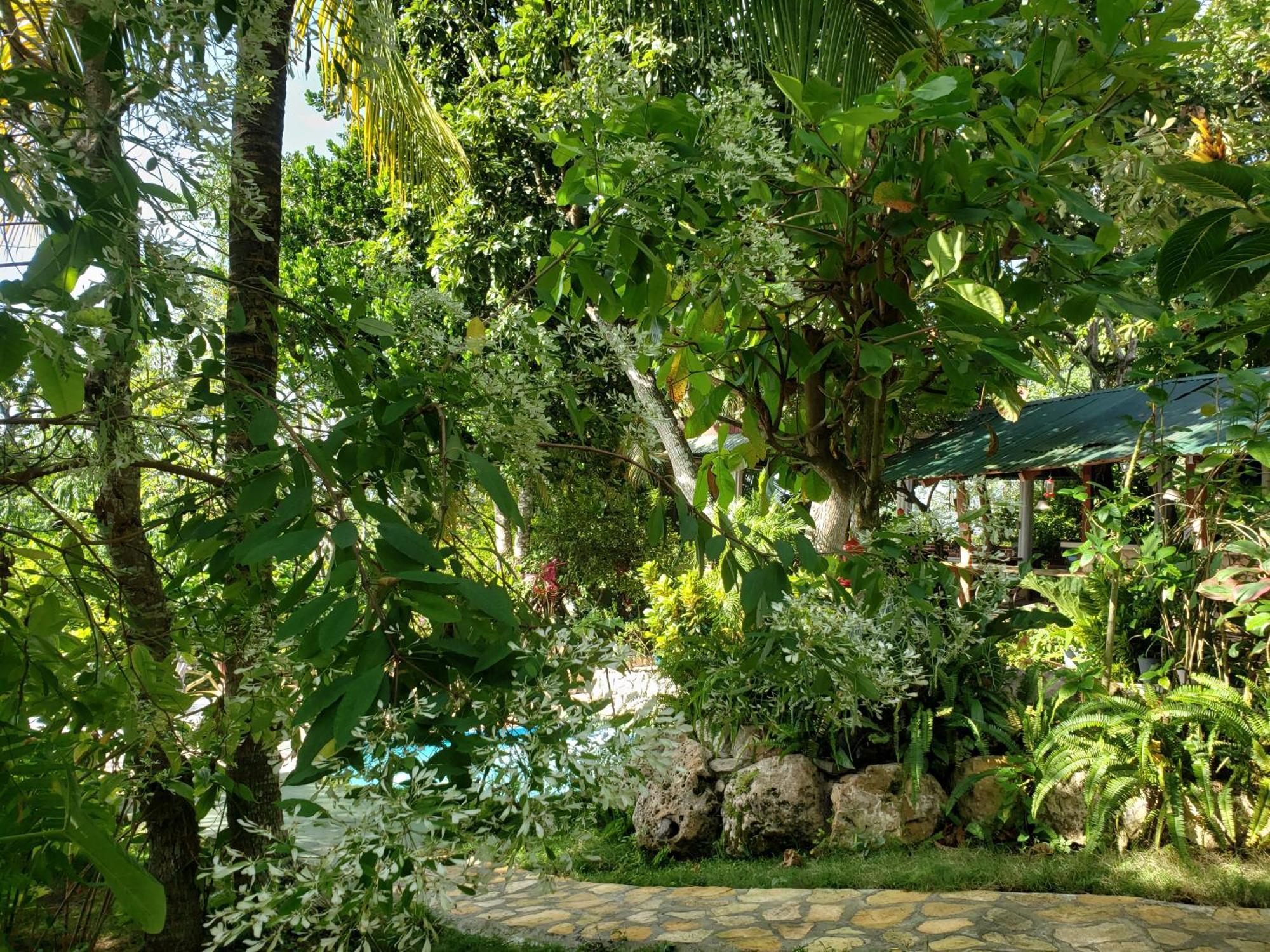 Zapote Tree Inn Flores Exterior foto