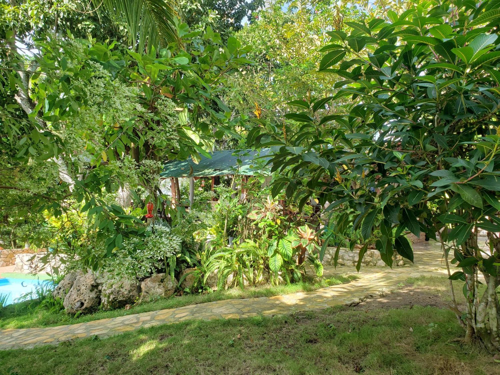 Zapote Tree Inn Flores Exterior foto