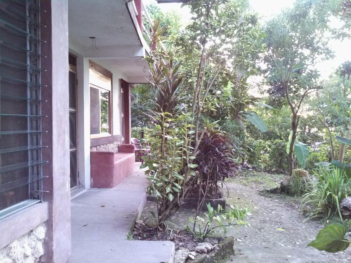 Zapote Tree Inn Flores Exterior foto