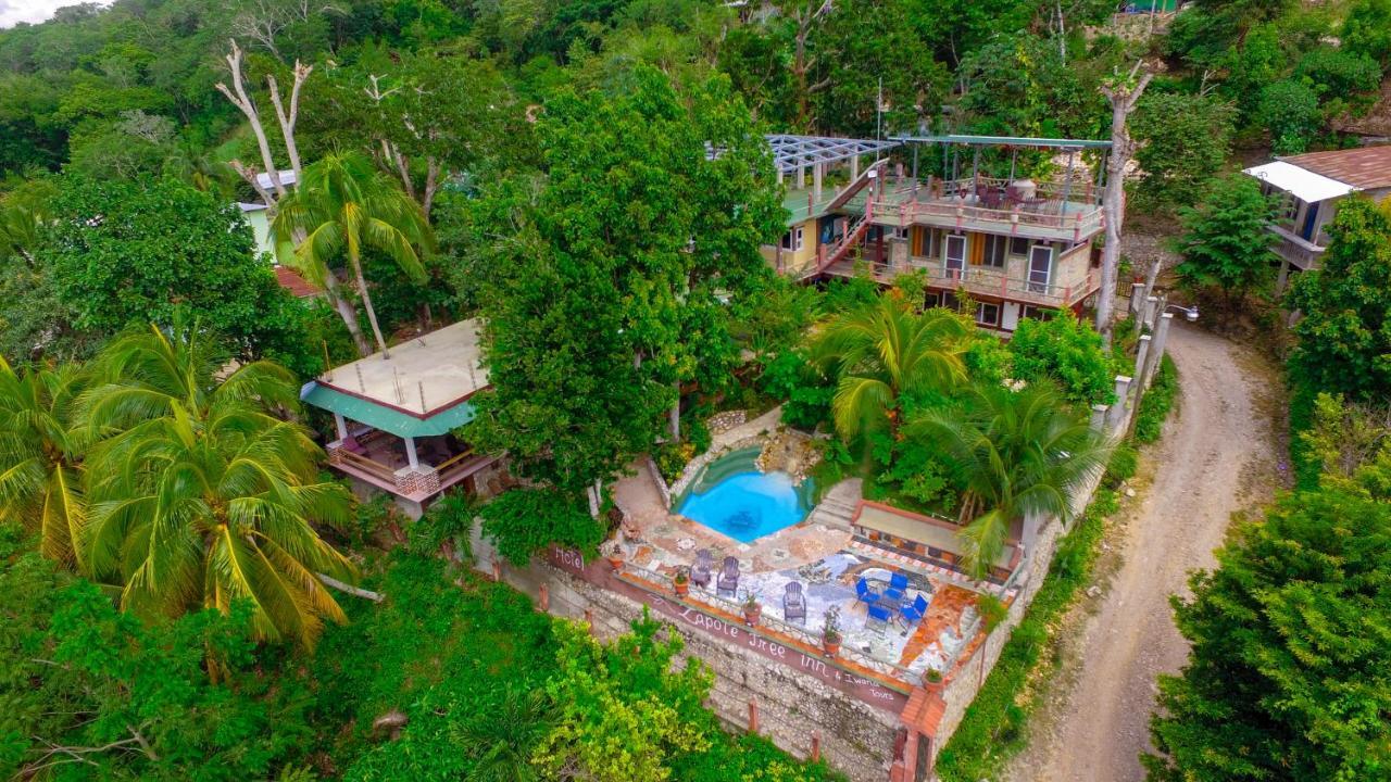 Zapote Tree Inn Flores Exterior foto